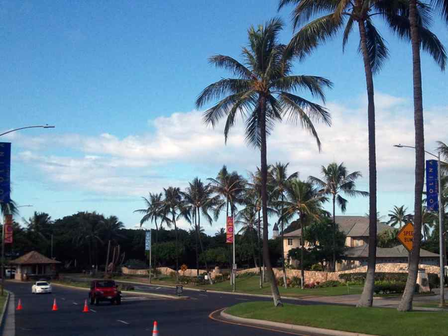 APEC USA 2011 Light Post Banners at Ko Olina Resort on Oahu gallery image 6