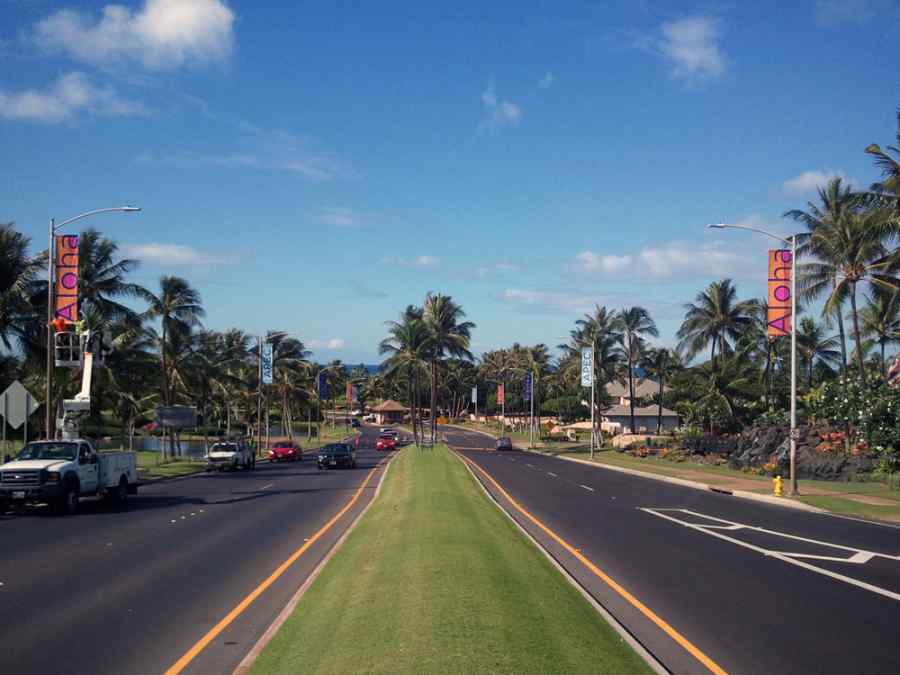 APEC USA 2011 Light Post Banners at Ko Olina Resort on Oahu gallery image 7