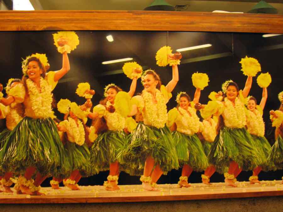 APEC USA 2011 U.S. Customs Signage at the Honolulu Airport gallery image 5