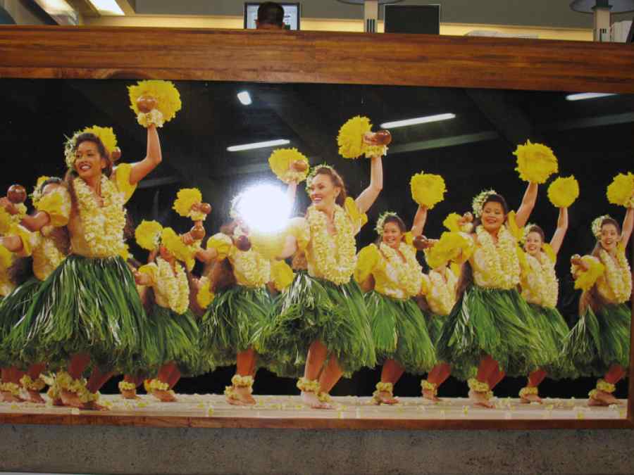 APEC USA 2011 U.S. Customs Signage at the Honolulu Airport gallery image 13