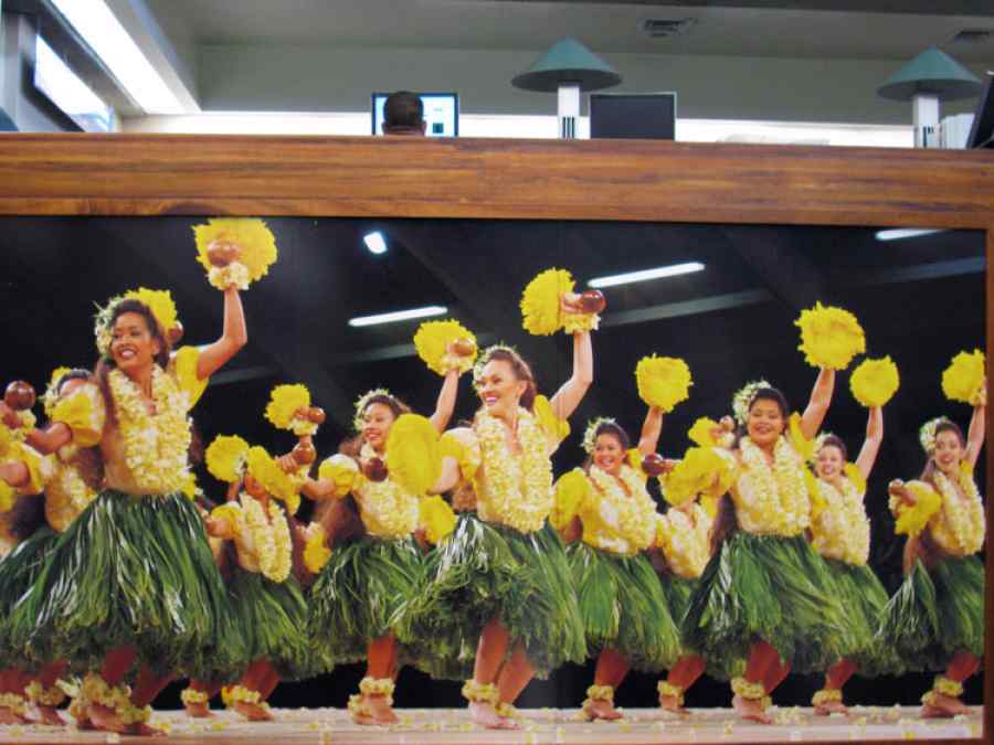 APEC USA 2011 U.S. Customs Signage at the Honolulu Airport gallery image 14