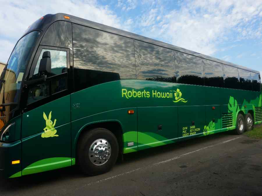 Vehicle Graphics and Wraps gallery image 9