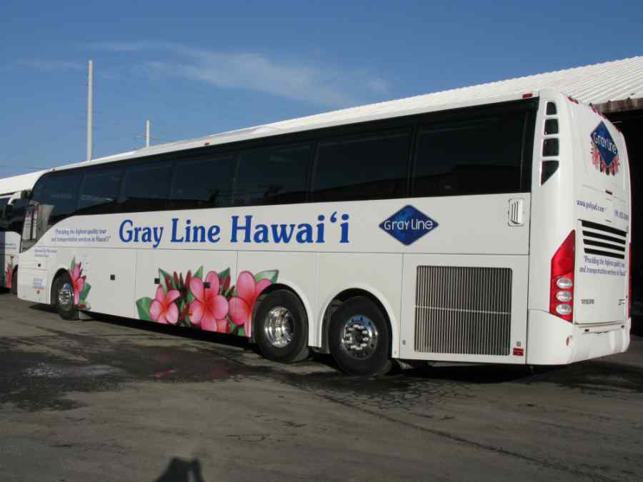 Vehicle Graphics and Wraps gallery image 27