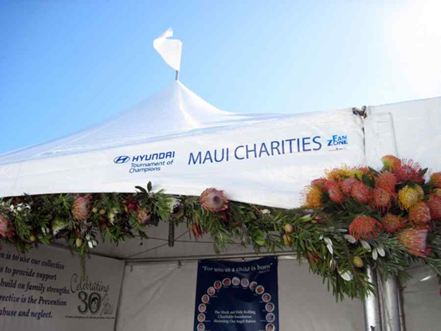 PGA Tour 2011: Hyundai Tournament of Champions gallery image 9